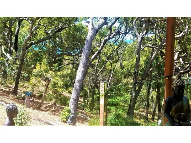 13 Bloodwood Ave, Agnes Water QLD 4677