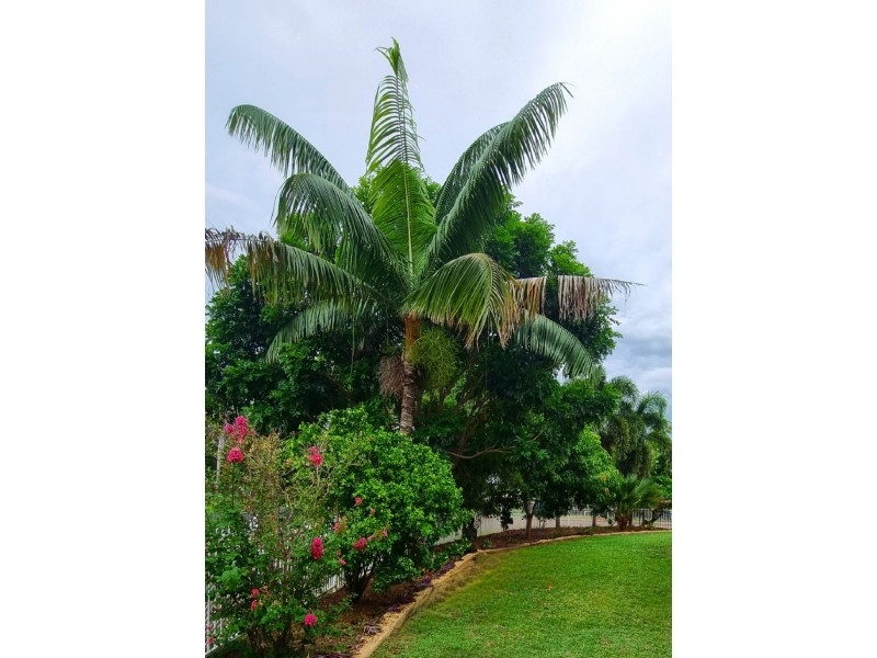 1 Helio Court, Woodroffe NT 0830