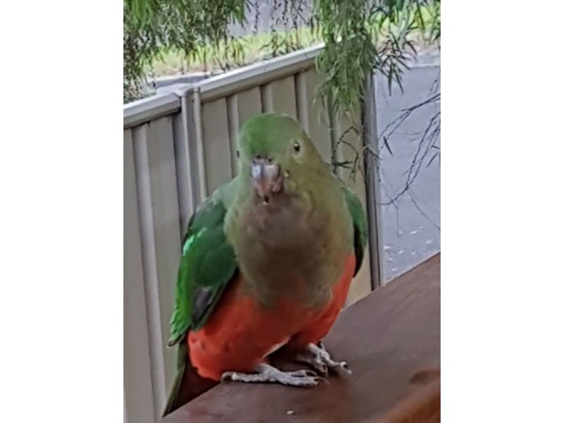 17 Farmer Street, Mirboo North VIC 3871