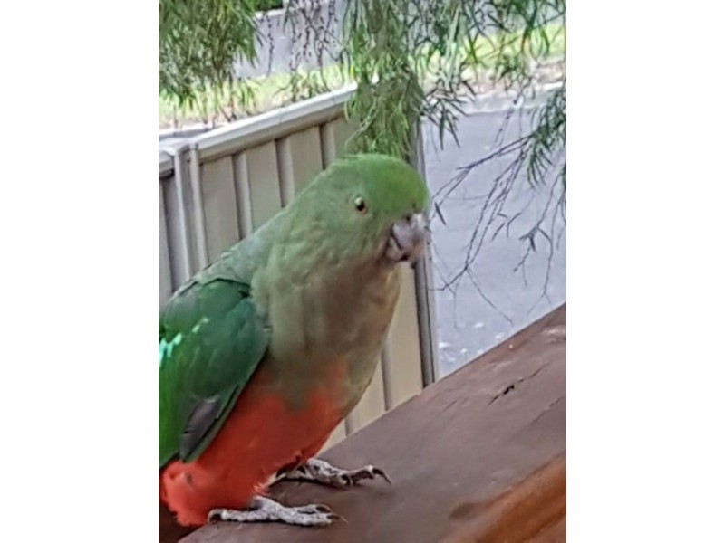 17 Farmer Street, Mirboo North VIC 3871