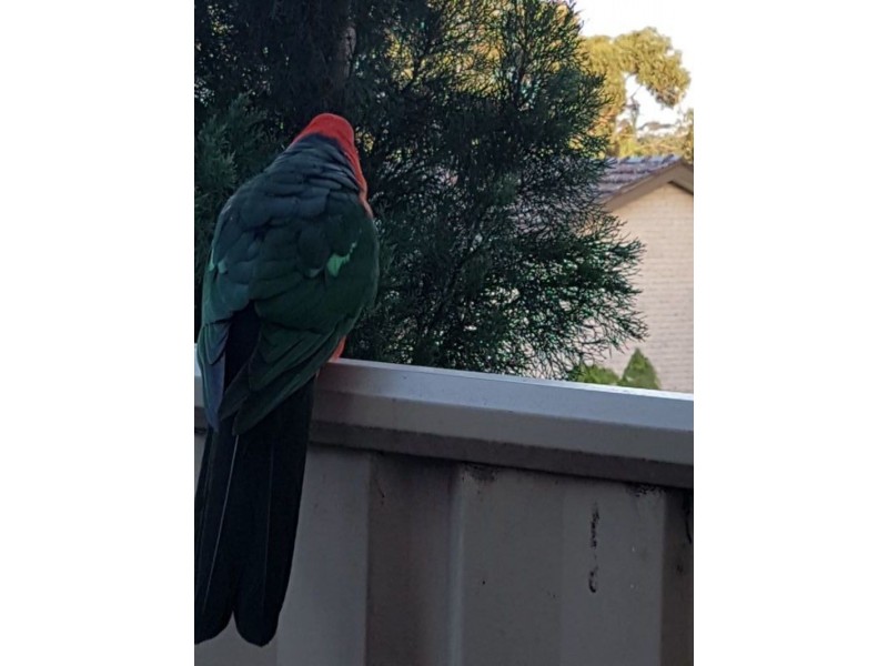 17 Farmer Street, Mirboo North VIC 3871