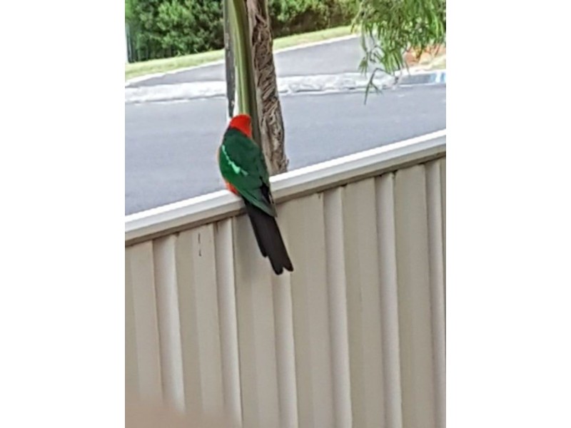 17 Farmer Street, Mirboo North VIC 3871