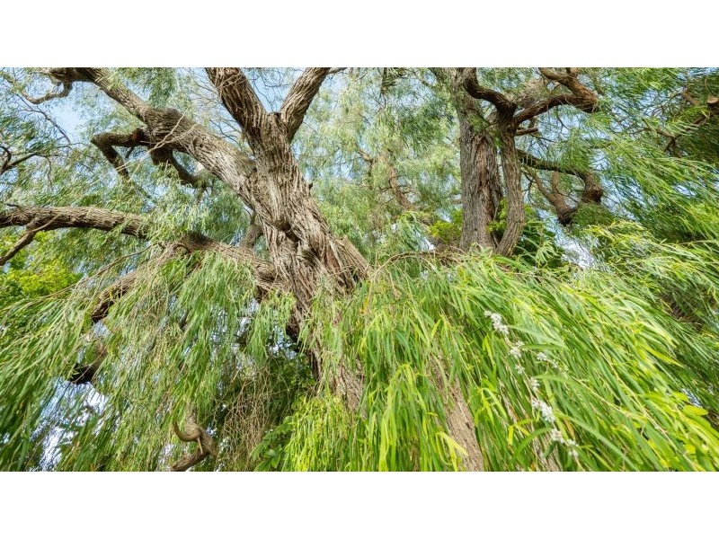 9 Tern Lane, Broadwater WA 6280