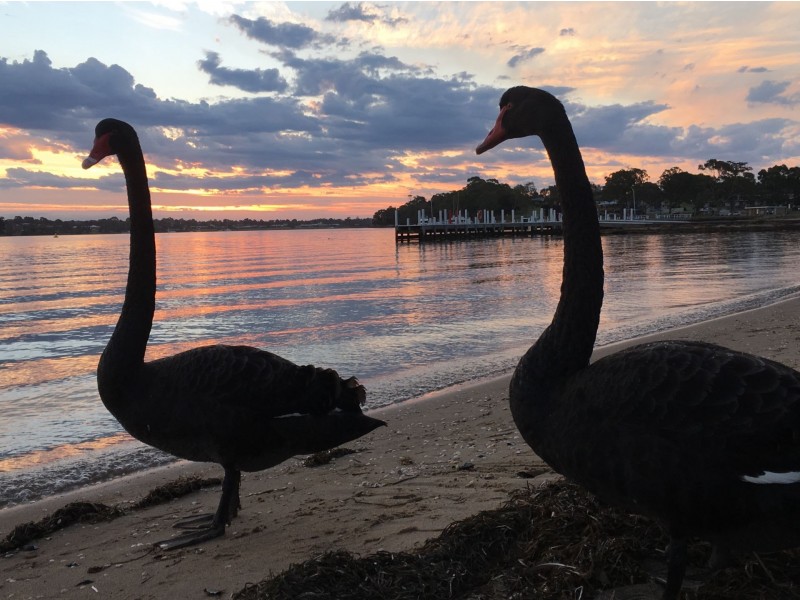 196 Newlands Drive, Paynesville VIC 3880