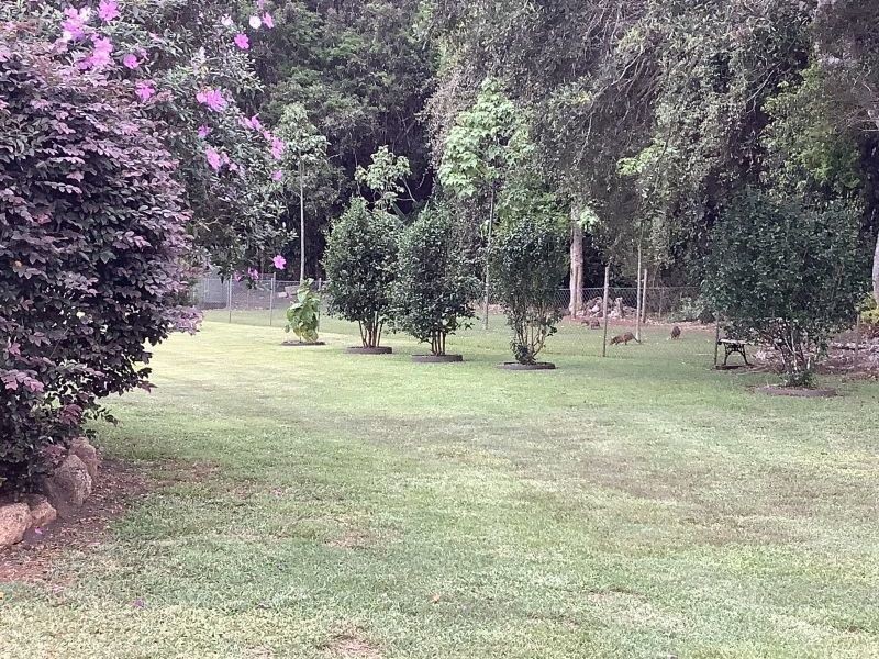 38 Rosewood Close, Malanda QLD 4885