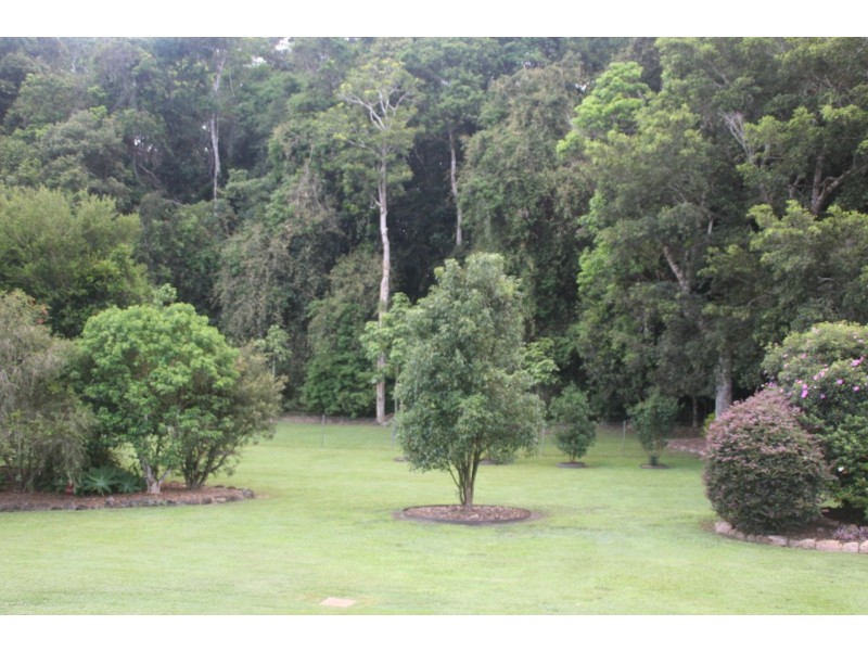 38 Rosewood Close, Malanda QLD 4885