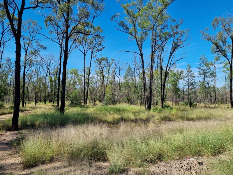 238 Ayton Road, Miles QLD 4415