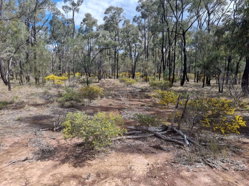 238 Ayton Road, Miles QLD 4415