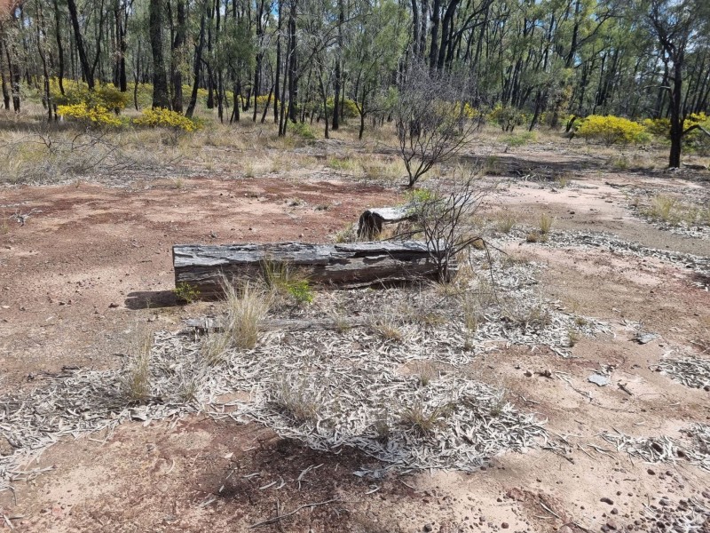 238 Ayton Road, Miles QLD 4415