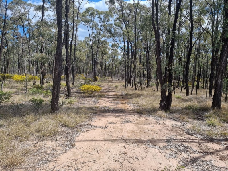 238 Ayton Road, Miles QLD 4415