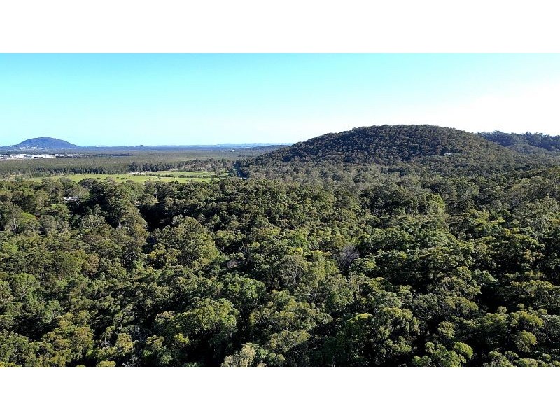 244 Doonan Bridge Road, Verrierdale QLD 4562