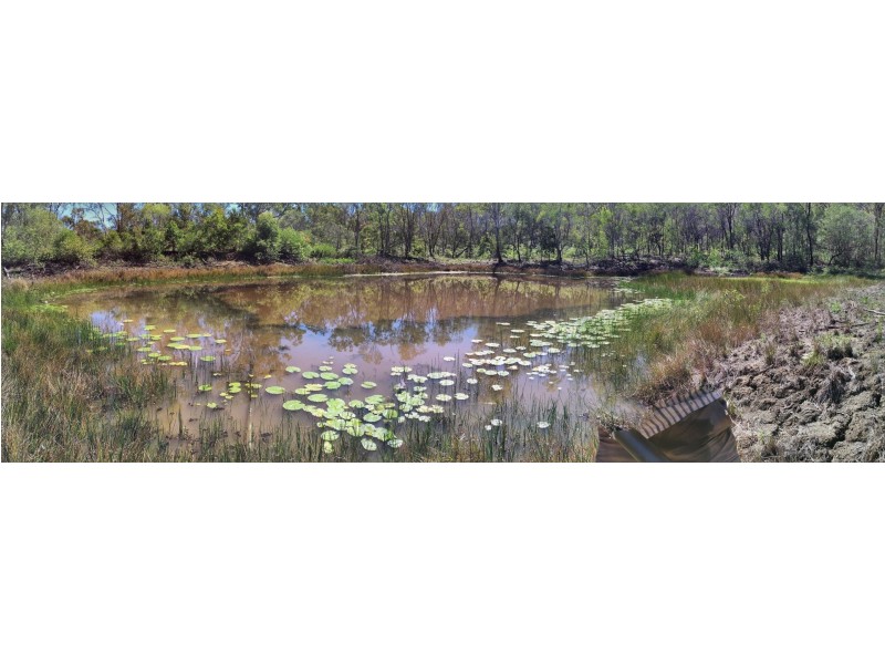 19 River Pines Drive, Delan QLD 4671