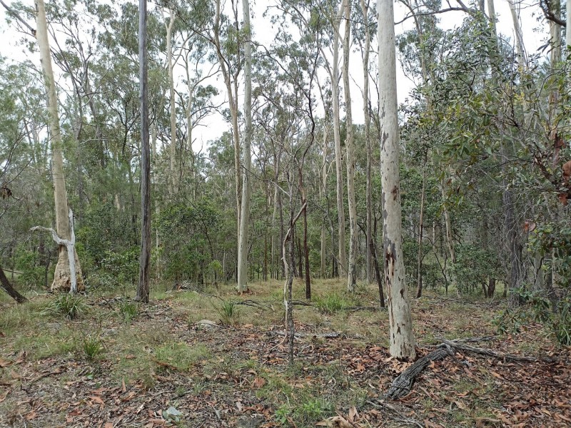 19 River Pines Drive, Delan QLD 4671