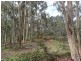 19 River Pines Drive, Delan QLD 4671