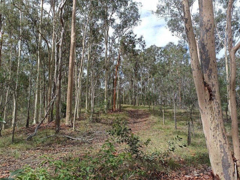 19 River Pines Drive, Delan QLD 4671