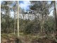 19 River Pines Drive, Delan QLD 4671