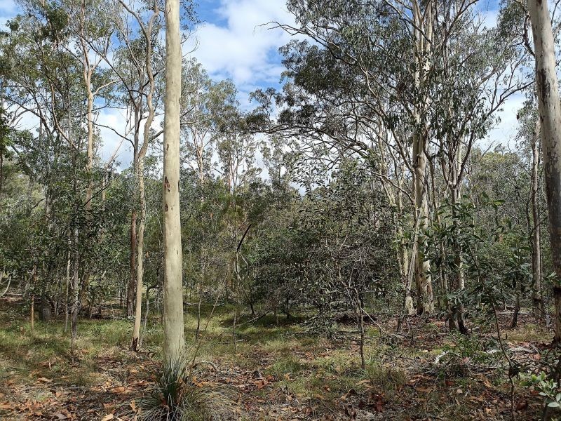 19 River Pines Drive, Delan QLD 4671