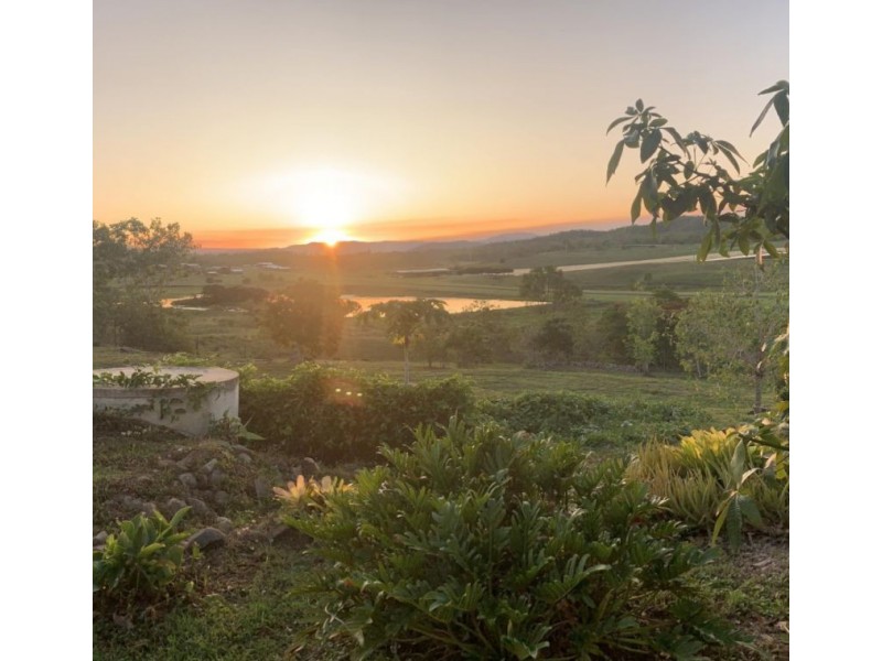 167 Lindeman Drive, Bloomsbury QLD 4799