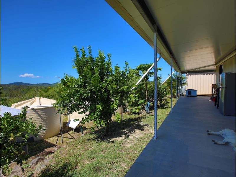 167 Lindeman Drive, Bloomsbury QLD 4799