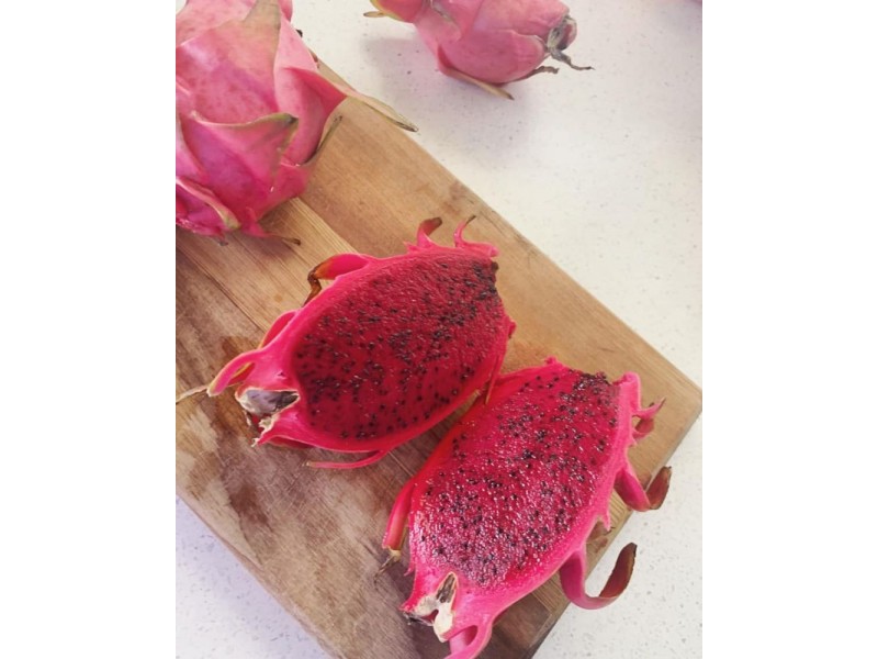 167 Lindeman Drive, Bloomsbury QLD 4799