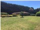 56 Cornwall Road, Exeter NSW 2579