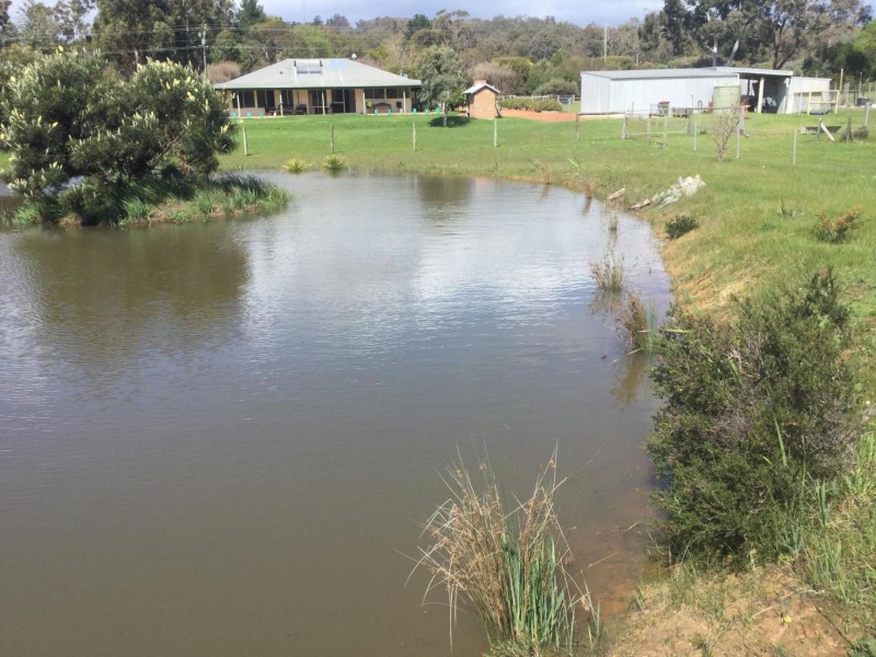 49 Fowler Street, Yabberup WA 6239