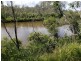 Buxton QLD 4660