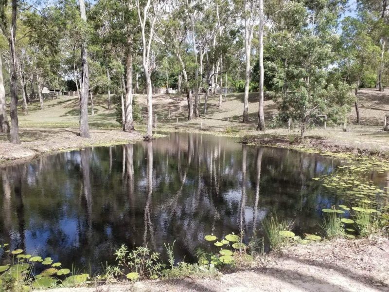 Buxton QLD 4660
