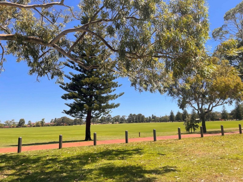 46B Dryden St, Yokine WA 6060