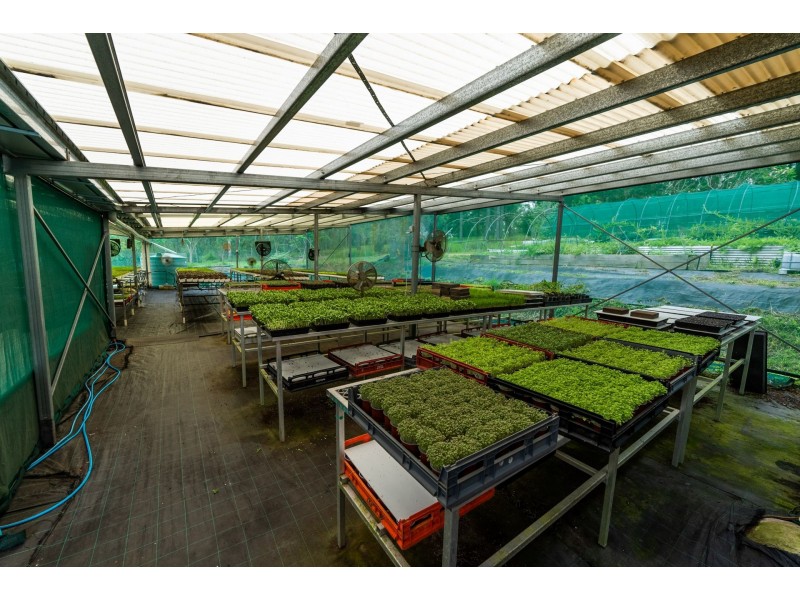 1 Copland Road, Koah QLD 4881