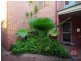 4/50 Rialto Street, Coorparoo QLD 4151