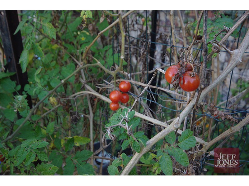 137 Greenmeadow Road, Mansfield QLD 4122