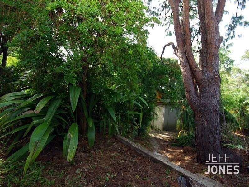 44 Hockings Street, Holland Park QLD 4121