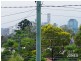 67 MacDonald Street, Norman Park QLD 4170