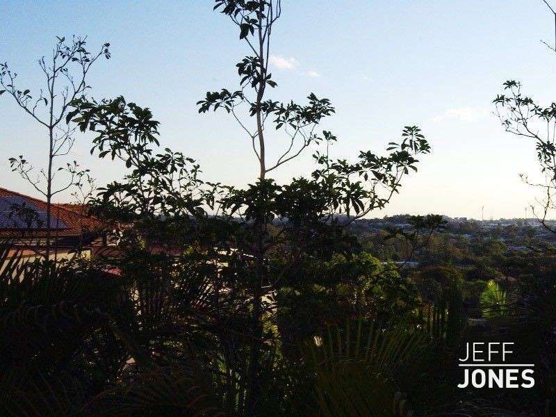 17/92 Norman Crescent, Norman Park QLD 4170