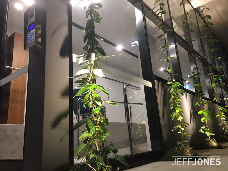 301/19 Bothwell Street, Mount Gravatt QLD 4122