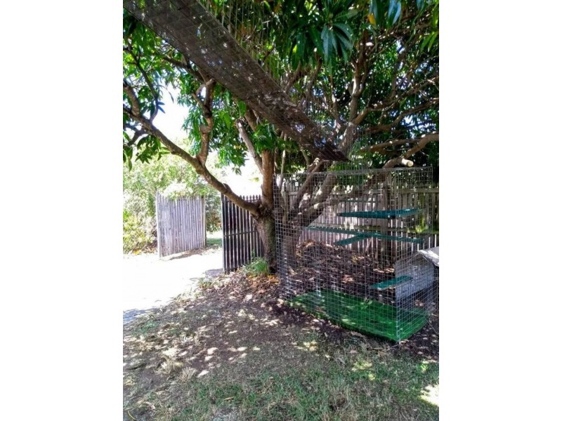 3 Kawana Street, Archerfield QLD 4108