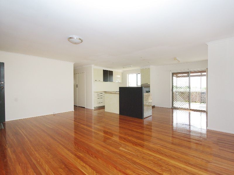 102 Ives Street, Murarrie QLD 4172