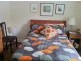 15 Milton Street North, Ashfield NSW 2131