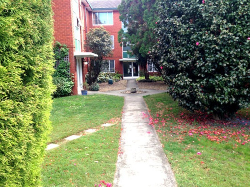 6/8 Orpington Street, Ashfield NSW 2131