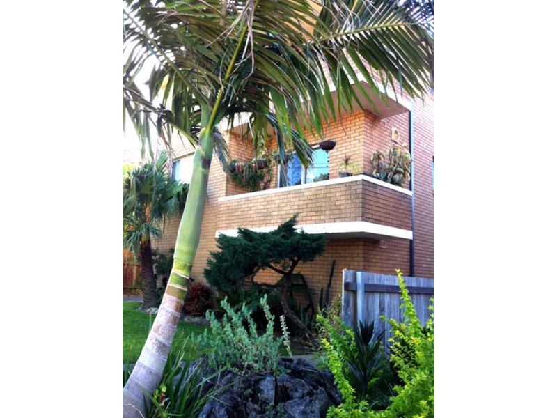 3/25 Hanks Street, Ashfield NSW 2131