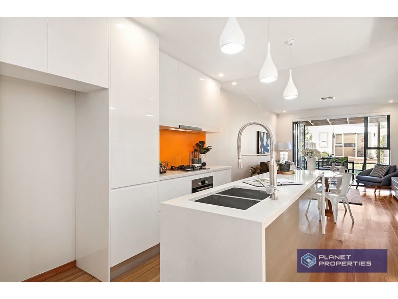 19 Bishop Street, Petersham NSW 2049
