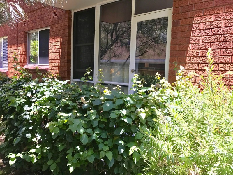 4/9 View Street, Marrickville NSW 2204