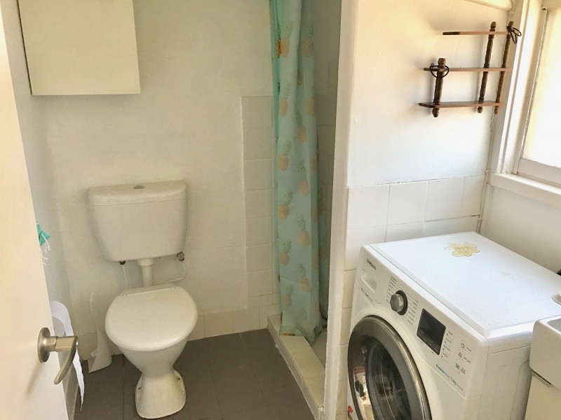 221 Norton Street, Croydon NSW 2132
