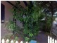 31 Thomas Street, Ashfield NSW 2131