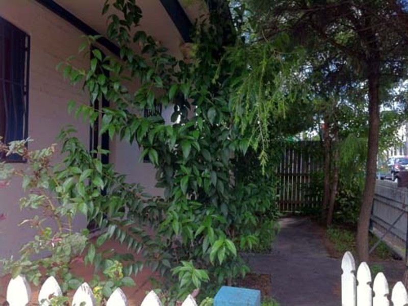 31 Thomas Street, Ashfield NSW 2131