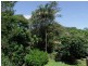 54 Piddington, Ashgrove QLD 4060
