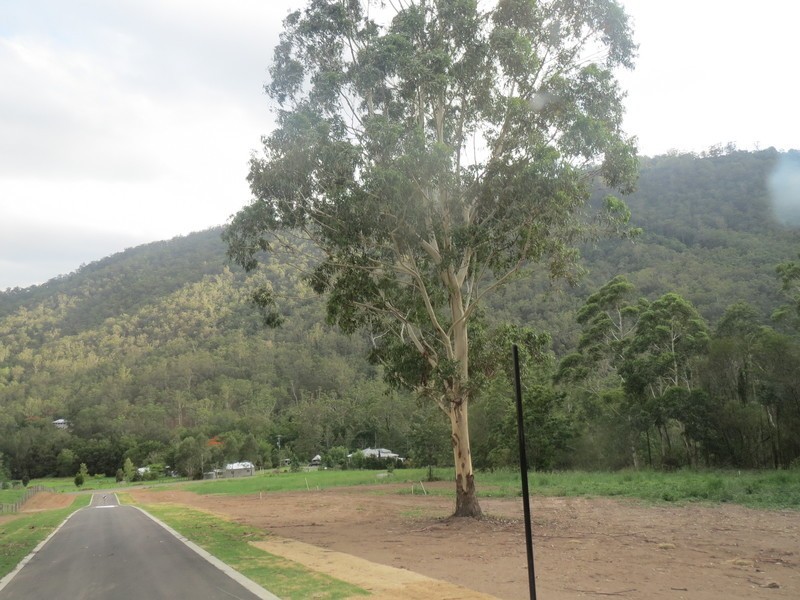 Lot 27 Masseys Creek Court, Cedar Creek QLD 4520
