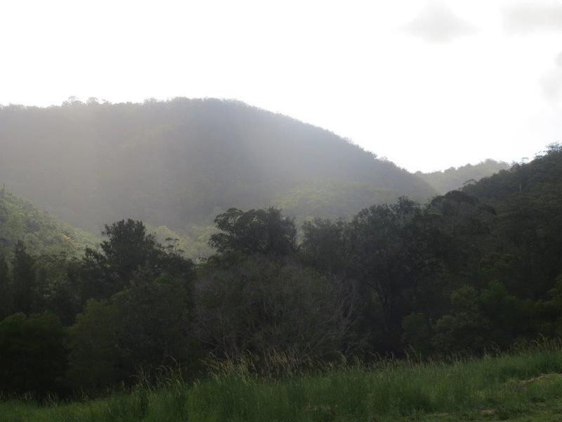 Lot 27 Masseys Creek Court, Cedar Creek QLD 4520