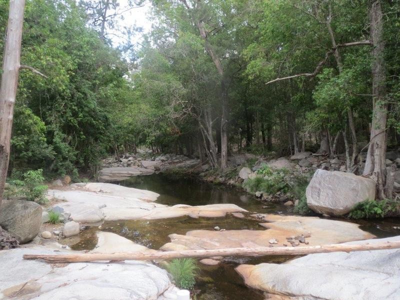 Lot 27 Masseys Creek Court, Cedar Creek QLD 4520